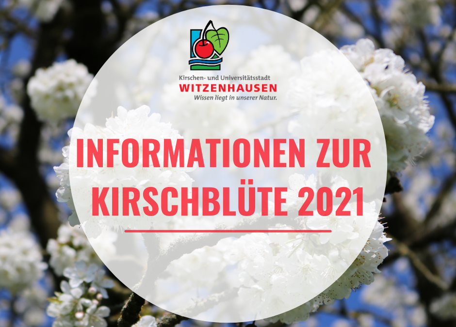 Informationen zur Kirschblüte 2021