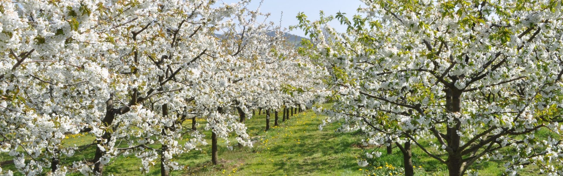 Header Endeckungstouren Header Endeckungstouren