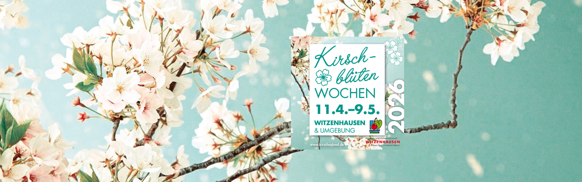 Design ohne Titel (9)